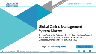 Casino Management System Market – Size, Share, Growth, Trends, and Forecast 2018 to 2025