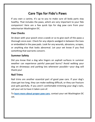 Care Tips for Fido’s Paws