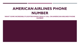 Incredible Flight-Booking Deals- American Airlines Phone Number- PDF