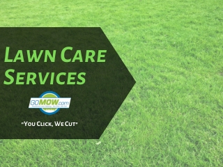 Pros & Cons of DIY Lawn Care Vs. Professional Lawn Care in Texas
