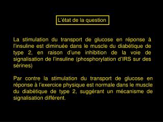 Par contre la stimulation du transport de glucose en réponse à l’exercice physique est normale dans le muscle