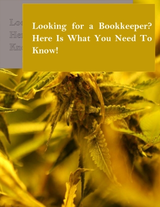 Looking for a Bookkeeper? Here Is What You Need To Know!