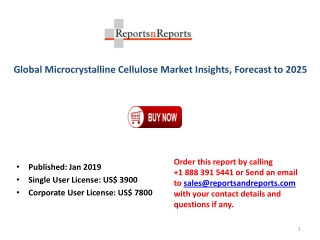 Market Insights Report on Global Microcrystalline Cellulose Market Industry 2019-2025