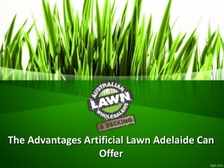 The Advantages Artificial Lawn Adelaide Can Offer