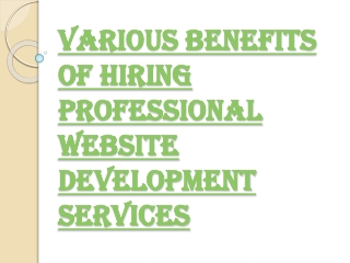 Furnish a Clean and Luring Website With Professional Web Development Services