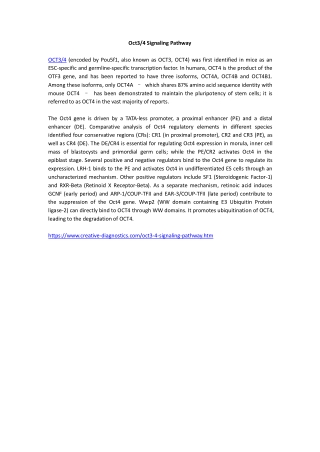 Oct3/4 Signaling Pathway