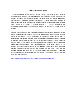 Toll and Imd Signaling Pathway