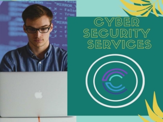 Complete security programs with Virtual CISO Services