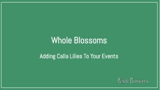 Buy Calla Lilies Flowers for Wedding Decoration