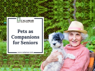 Pets As Companions For Seniors