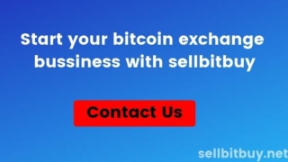 Why Startups Falls On Sellbitbuy for Bitcoin Exchange Website Development?