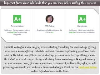 Important facts about bold leads that you can know before availing their services