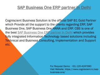 SAP Business One ERP partner In Delhi