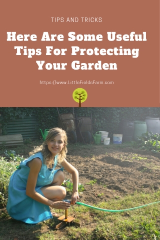 Here Are Some Useful Tips For Protecting Your Garden