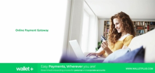 Online Payment Gateway - Wallet