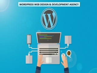 Wordpress Designer in Birmingham