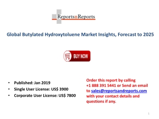 Global Butylated Hydroxytoluene Market Analysis by Professional Reviews and Opinions 2025