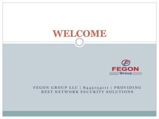 Fegon Group LLC | 8445134111 | Providing Best Network Security Solutions