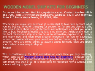 Wooden Model Ship Kits for Beginners