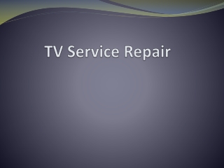 TV Repair Service