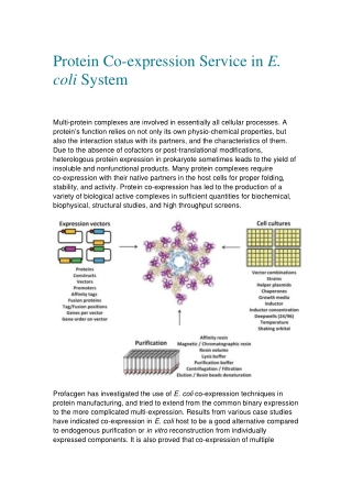an introduction for protein co