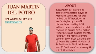 Juan Martin del Potro’s Net Worth, Salary and Endorsements