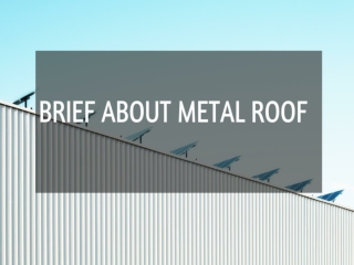 Brief About Metal Roofing