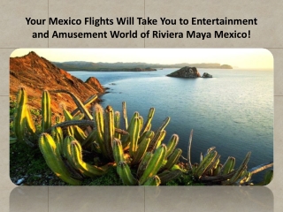 Find cheapest flights from Mexico to Anywherein US