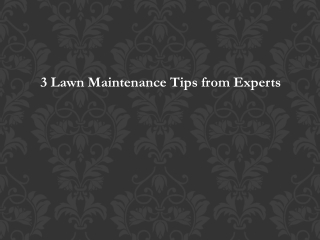 3 Lawn Maintenance Tips from Experts