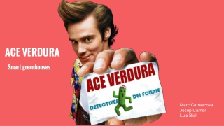 ACE VERDURA