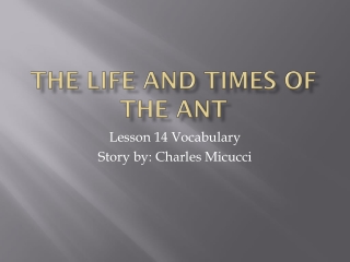 The Life and Times of the Ant