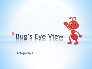 Bug’s Eye View