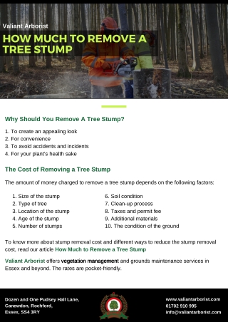 How much to remove a tree stump - Valiant Arborist