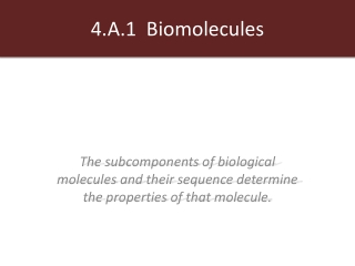 4.A.1 Biomolecules