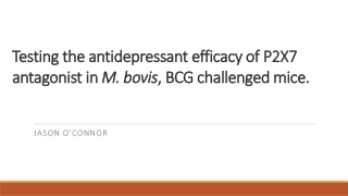 Testing the antidepressant efficacy of P2X7 antagonist in M. bovis , BCG challenged mice.