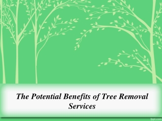 Benefits of Tree Removal Services