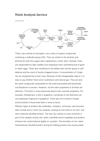 Thiols Analysis Service