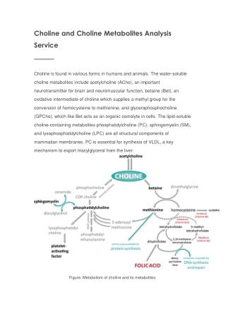 Flavins Analysis Service