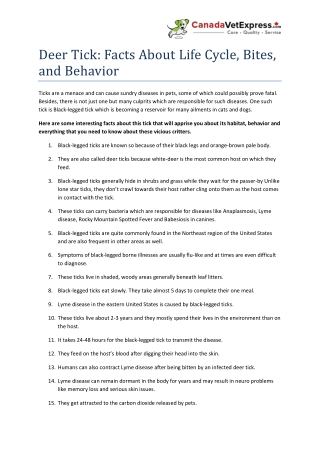 Deer Tick: Facts About Life Cycle, Bites, and Behavior