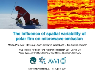 The influence of spatial variability of polar firn on microwave emission