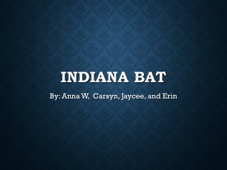 Indiana Bat