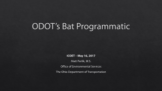 ODOT’s Bat Programmatic