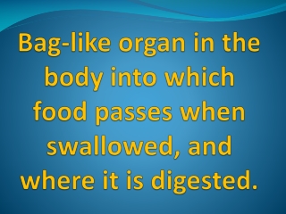Bag- like organ in the body into which food passes when swallowed , and where it is digested .