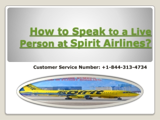 How to speak to a live person at Spirit Airlines?