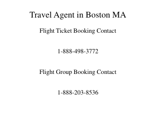 Travel Agent in Boston