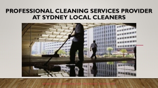 Professional Cleaning Services