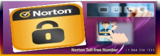 Norton 24*7 Support