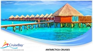 ANTARCTICA CRUISES