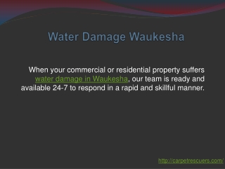 Water Damage Waukesha