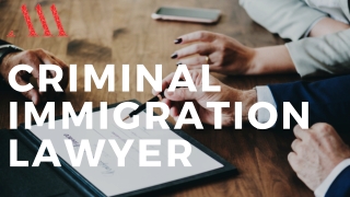 CRIMINAL IMMIGRATION LAWYER | ALAMI LAW